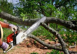 Best Soil Testing and Treatment  in Kings Park, NY