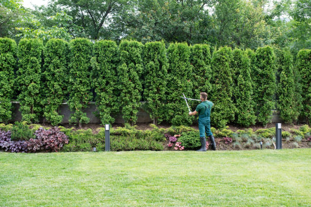 Best Utility Line Clearance  in Kings Park, NY