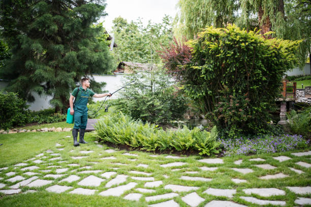 Best Lawn Disease Treatment  in Kings Park, NY