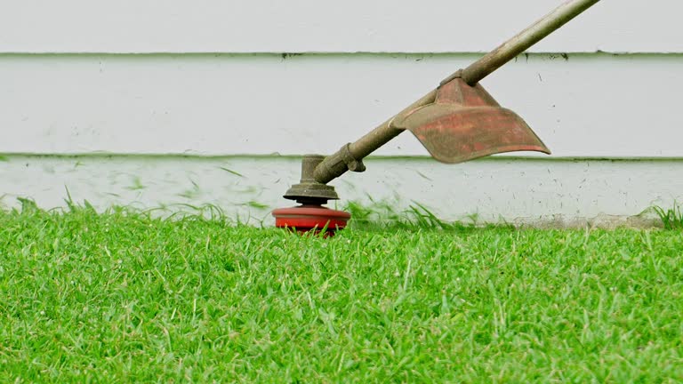 Mulching Services in Kings Park, NY