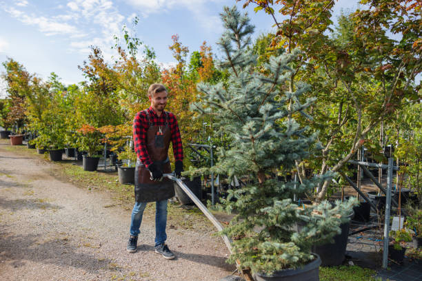 Best Leaf Removal  in Kings Park, NY
